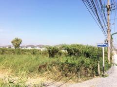 ขายทาวน์เฮ้าส์ หมู่บ้านเดอะคัลเลอร์ส วงแหวน-รามอินทรา กรุงเทพมหานคร-202511231545351763887535711.jpg