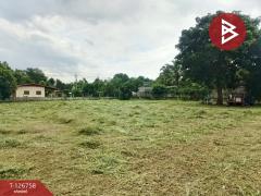 ขายด่วนที่ดิน เนื้อที่ 1 ไร่ 64.3 ตารางวา ปากพลี นครนายก