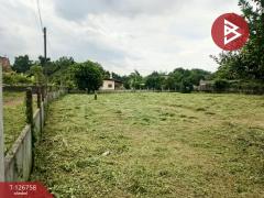 ขายด่วนที่ดิน เนื้อที่ 1 ไร่ 64.3 ตารางวา ปากพลี นครนายก-202511231558191763888299681.jpg