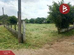 ขายด่วนที่ดิน เนื้อที่ 1 ไร่ 64.3 ตารางวา ปากพลี นครนายก-202511231558201763888300259.jpg