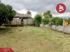 ขายด่วนที่ดิน เนื้อที่ 1 ไร่ 64.3 ตารางวา ปากพลี นครนายก-202511231558201763888300824.jpg