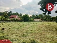 ขายด่วนที่ดิน เนื้อที่ 1 ไร่ 64.3 ตารางวา ปากพลี นครนายก-202511231558211763888301709.jpg