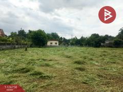 ขายด่วนที่ดิน เนื้อที่ 1 ไร่ 64.3 ตารางวา ปากพลี นครนายก-202511231558221763888302281.jpg