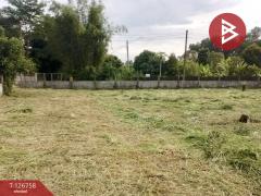 ขายด่วนที่ดิน เนื้อที่ 1 ไร่ 64.3 ตารางวา ปากพลี นครนายก-202511231558221763888302846.jpg