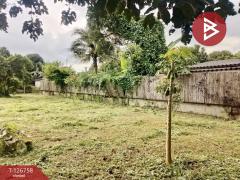 ขายด่วนที่ดิน เนื้อที่ 1 ไร่ 64.3 ตารางวา ปากพลี นครนายก-202511231558231763888303417.jpg