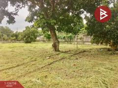 ขายด่วนที่ดิน เนื้อที่ 1 ไร่ 64.3 ตารางวา ปากพลี นครนายก-202511231558231763888303982.jpg