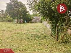 ขายด่วนที่ดิน เนื้อที่ 1 ไร่ 64.3 ตารางวา ปากพลี นครนายก-202511231558241763888304545.jpg