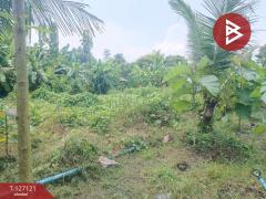 ขายที่ดิน-เนื้อที่-3-งาน-26-ตารางวา-พร้