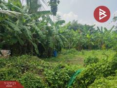 ขายที่ดิน เนื้อที่ 3 งาน 26 ตารางวา พร้อมต้นสัก บ้านยาง นครปฐม-202511231602401763888560332.jpg