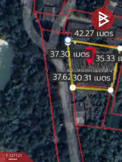 ขายที่ดิน เนื้อที่ 3 งาน 26 ตารางวา พร้อมต้นสัก บ้านยาง นครปฐม-202511231602421763888562509.jpg