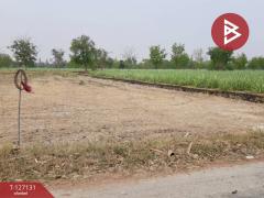 ขายที่ดินเปล่า เนื้อที่ 170 ตารางวา อ.ดอนเจดีย์ สุพรรณบุรี-202511231630401763890240670.jpg