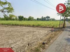 ขายที่ดินเปล่า เนื้อที่ 170 ตารางวา อ.ดอนเจดีย์ สุพรรณบุรี-202511231630411763890241201.jpg