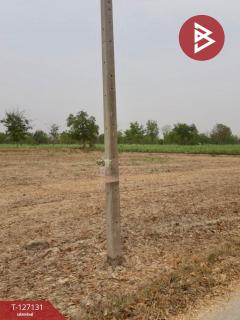 ขายที่ดินเปล่า เนื้อที่ 170 ตารางวา อ.ดอนเจดีย์ สุพรรณบุรี-202511231630421763890242212.jpg