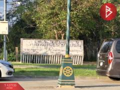 ขายที่ดิน เนื้อที่ 47 ตารางวา ซอยพรประภานิมิตร 32 บางละมุง ชลบุรี-202511231641511763890911285.jpg