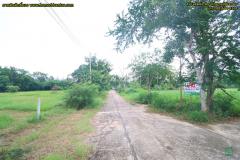 ที่ดิน 300 ตร.ว.ใกล้ทะเล เพชรบุรี ใกล้ หาดเจ้าสำราญ หาดปึกเตียน เพชรบุรี ในโครงการจัดสรร ติดถนนคอนกรีต 3 ด้าน-202511231645551763891155359.jpg