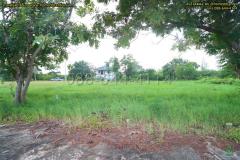 ที่ดิน 300 ตร.ว.ใกล้ทะเล เพชรบุรี ใกล้ หาดเจ้าสำราญ หาดปึกเตียน เพชรบุรี ในโครงการจัดสรร ติดถนนคอนกรีต 3 ด้าน-202511231654491763891689755.jpg