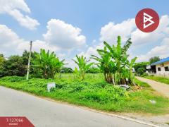 ขายที่ดินเปล่า เนื้อที่ 4 ไร่ 3 งาน 97 ตารางวา ต.หนองงูเหลือม เมืองนครปฐม-202511231706031763892363687.jpg