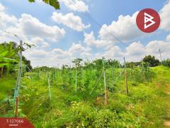 ขายที่ดินเปล่า เนื้อที่ 4 ไร่ 3 งาน 97 ตารางวา ต.หนองงูเหลือม เมืองนครปฐม-202511231706041763892364756.jpg