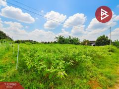 ขายที่ดินเปล่า เนื้อที่ 4 ไร่ 3 งาน 97 ตารางวา ต.หนองงูเหลือม เมืองนครปฐม-202511231706051763892365294.jpg