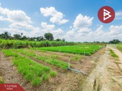 ขายที่ดินเปล่า เนื้อที่ 4 ไร่ 3 งาน 97 ตารางวา ต.หนองงูเหลือม เมืองนครปฐม-202511231706061763892366912.jpg