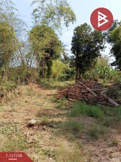 ขายบ้านเดี่ยวพร้อมที่ดิน เนื้อที่ 8 ไร่ 2 งาน 89 ตร.วา บางระจัน สิงห์บุรี-202511232224541763911494311.jpg