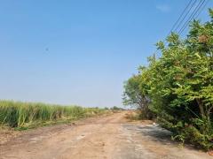 ขายที่ดิน6ไร่ผังสีม่วงจุดสีขาวเขตEEC อ.เมืองฉะเชิงเทราถนนปองพลหน้ากว้าง 105 เมตร แปลงสวย