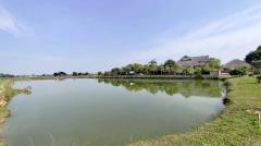 ขายบ้านสวย วิวภูเขาและวิวทุ่งนา พร้อมที่ดิน 20-1-17.5 ไร่ เป็นบ่อปลาขนาดใหญ่ จ.พะเยา-202511240740251763944825405.jpg