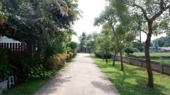 ขายบ้านสวย วิวภูเขาและวิวทุ่งนา พร้อมที่ดิน 20-1-17.5 ไร่ เป็นบ่อปลาขนาดใหญ่ จ.พะเยา-202511240741261763944886157.jpg