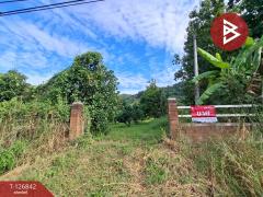 ขายที่ดิน เนื้อที่ 3 ไร่ 3 งาน 65 ตร.วา ขุนตาล เชียงราย