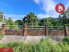 ขายที่ดิน เนื้อที่ 3 ไร่ 3 งาน 65 ตร.วา ขุนตาล เชียงราย-202511240916191763950579776.jpg