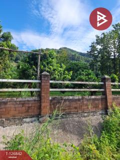 ขายที่ดิน เนื้อที่ 3 ไร่ 3 งาน 65 ตร.วา ขุนตาล เชียงราย-202511240916201763950580325.jpg