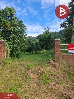 ขายที่ดิน เนื้อที่ 3 ไร่ 3 งาน 65 ตร.วา ขุนตาล เชียงราย-202511240916211763950581405.jpg