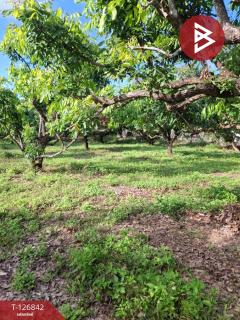 ขายที่ดิน เนื้อที่ 3 ไร่ 3 งาน 65 ตร.วา ขุนตาล เชียงราย-202511240916211763950581953.jpg