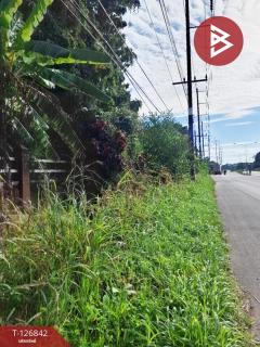 ขายที่ดิน เนื้อที่ 3 ไร่ 3 งาน 65 ตร.วา ขุนตาล เชียงราย-202511240916231763950583037.jpg