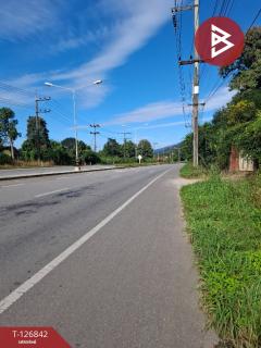 ขายที่ดิน เนื้อที่ 3 ไร่ 3 งาน 65 ตร.วา ขุนตาล เชียงราย-202511240916231763950583573.jpg