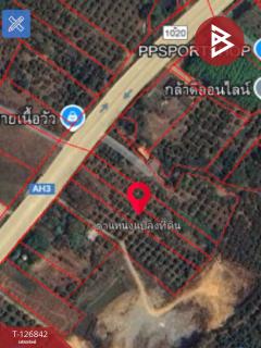 ขายที่ดิน เนื้อที่ 3 ไร่ 3 งาน 65 ตร.วา ขุนตาล เชียงราย-202511240916241763950584640.jpg