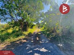 ขายที่ดิน เนื้อที่ 70 ตร.วา ถ.พุทธมณฑลสาย 3 ตลิ่งชัน กรุงเทพมหานคร-202511240941011763952061195.jpg