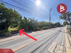 ขายที่ดิน เนื้อที่ 70 ตร.วา ถ.พุทธมณฑลสาย 3 ตลิ่งชัน กรุงเทพมหานคร-202511240941021763952062314.jpg