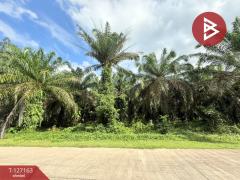 ขายที่ดินสวนปาล์ม เนื้อที่ 3 ไร่ 1 งาน 28.7 ตารางวา ท่าแซะ ชุมพร