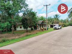 ขายที่ดินสวนปาล์ม เนื้อที่ 3 ไร่ 1 งาน 28.7 ตารางวา ท่าแซะ ชุมพร-202511241049181763956158511.jpg