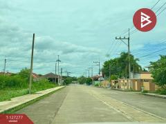 ขายที่ดินถมแล้ว เนื้อที่ 63 ตร.วา ลำพยา นครปฐม-202511241100221763956822903.jpg