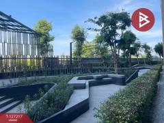 ขายคอนโด โครงการดีคอนโด แคมปัส กำแพงแสน (Dcondo Campus KamphaengSean) นครปฐม-202511241110111763957411659.jpg