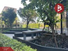 ขายคอนโด โครงการดีคอนโด แคมปัส กำแพงแสน (Dcondo Campus KamphaengSean) นครปฐม-202511241110121763957412216.jpg