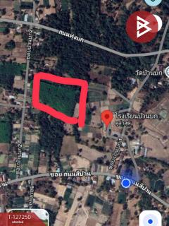  ขายที่ดิน เนื้อที่ 5 ไร่ 2 งาน 12 ตร.วา ม่วงสามสิบ อุบลราชธานี-202511241119551763957995962.jpg