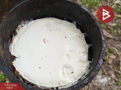  ขายที่ดิน เนื้อที่ 5 ไร่ 2 งาน 12 ตร.วา ม่วงสามสิบ อุบลราชธานี-202511241119571763957997063.jpg