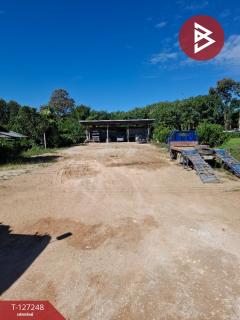 ขายโกดังพร้อมที่ดิน เนื้อที่ 3 งาน 58 ตร.วา เทิง เชียงราย-202511241140031763959203320.jpg