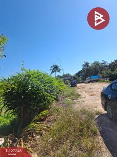 ขายโกดังพร้อมที่ดิน เนื้อที่ 3 งาน 58 ตร.วา เทิง เชียงราย-202511241140031763959203859.jpg