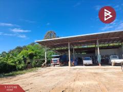 ขายโกดังพร้อมที่ดิน เนื้อที่ 3 งาน 58 ตร.วา เทิง เชียงราย-202511241140041763959204396.jpg