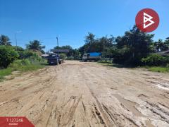 ขายโกดังพร้อมที่ดิน เนื้อที่ 3 งาน 58 ตร.วา เทิง เชียงราย-202511241140041763959204947.jpg