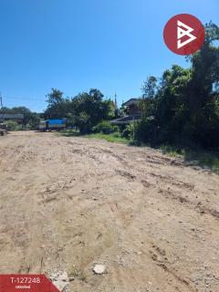 ขายโกดังพร้อมที่ดิน เนื้อที่ 3 งาน 58 ตร.วา เทิง เชียงราย-202511241140061763959206078.jpg